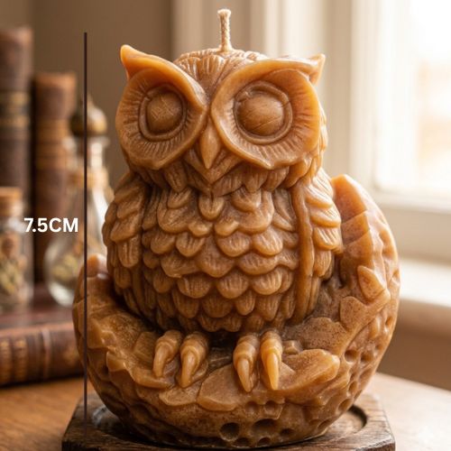 Owl With Moon Candle Silicon Mould MB088