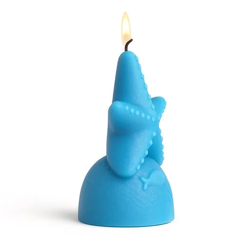 Blue Starfish Candle Silicon Mould MB083