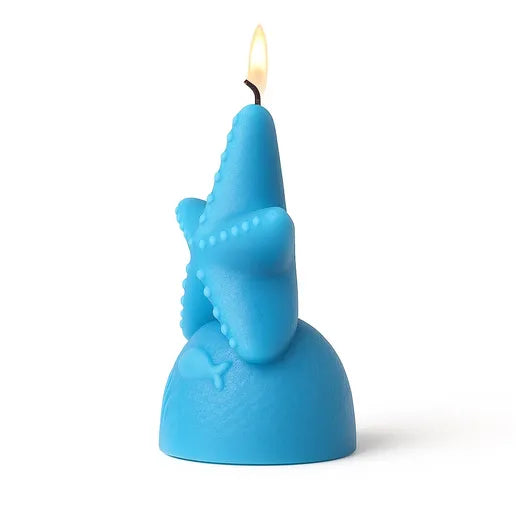 Blue Starfish Candle Silicon Mould MB083