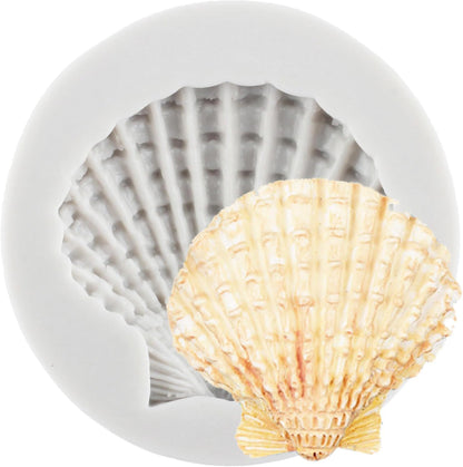 Sea Shell Shape Mould CD008