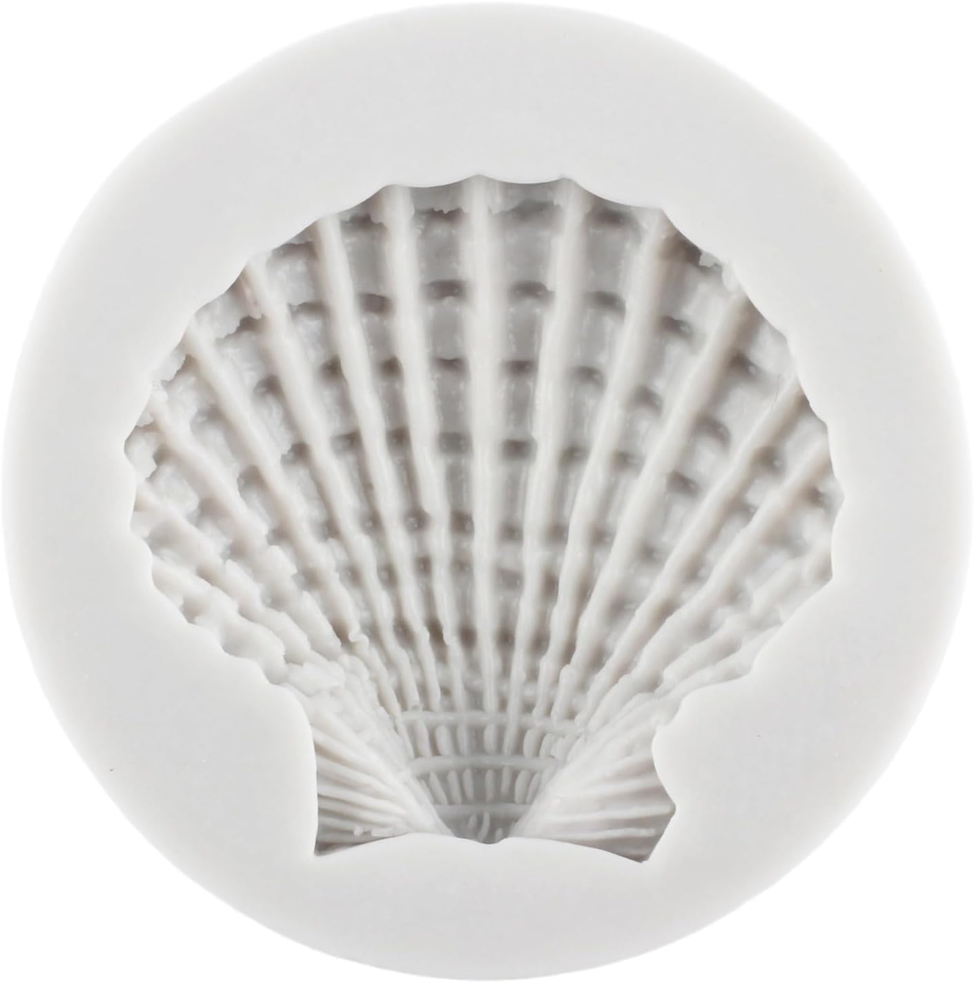 Sea Shell Shape Mould CD008
