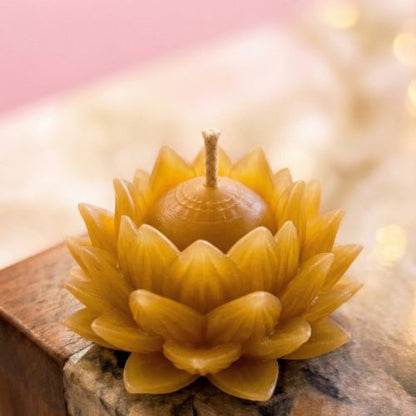 Lotus Candle Mould MB030