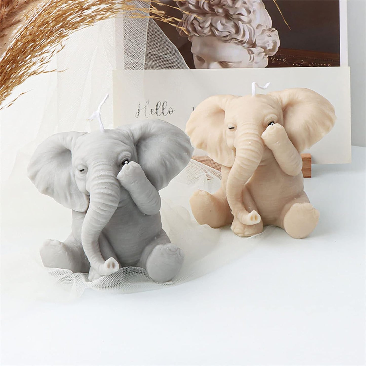 Elephant Eye Close Mould MB044