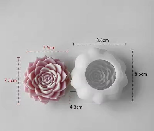 Succulent & Rose Mold MB137