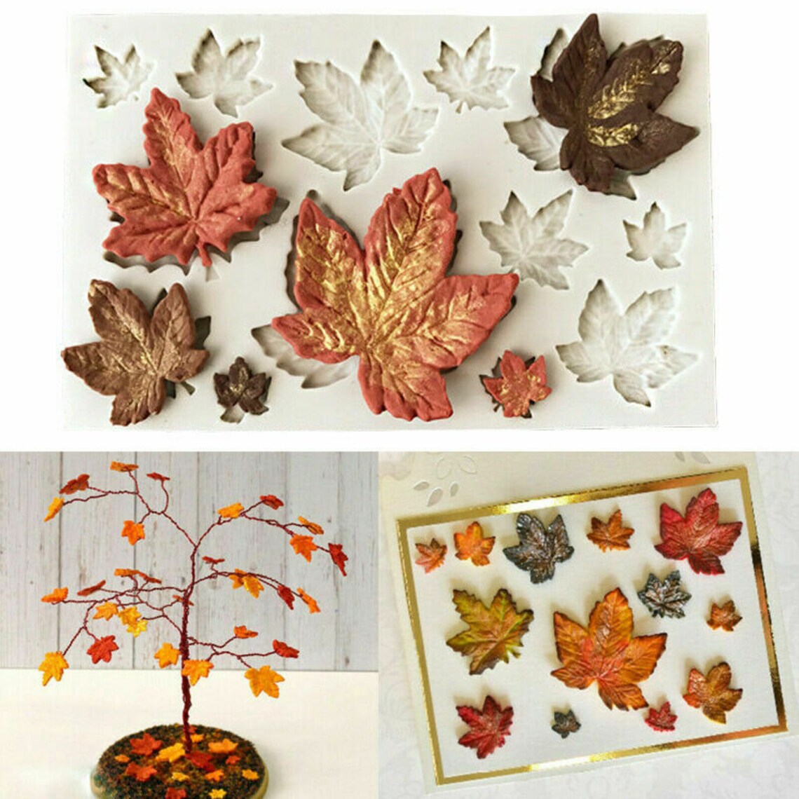 Maple Leaf Mould CD004