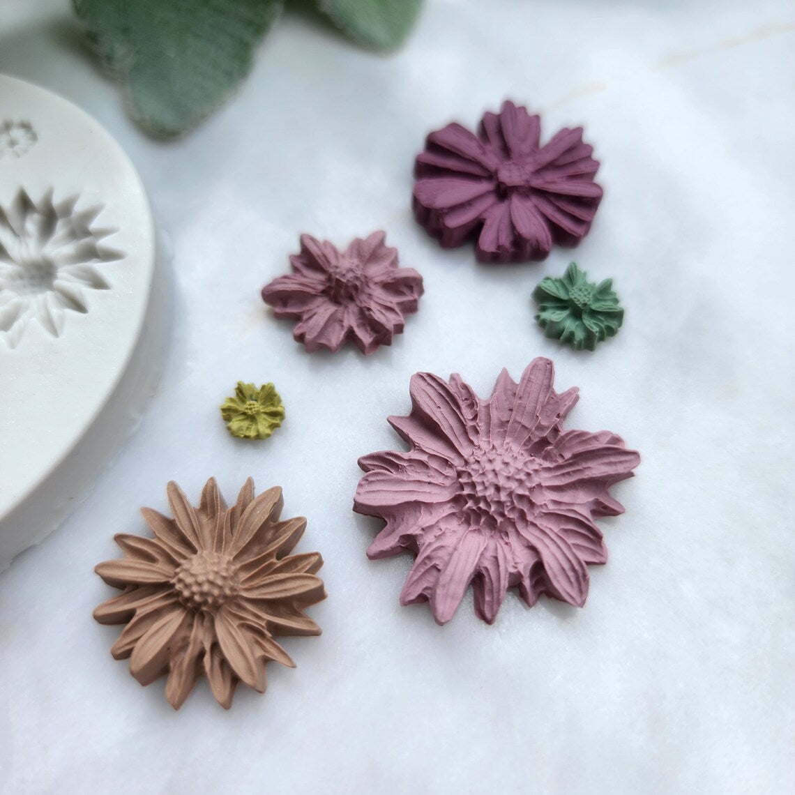 6 Cavity Daisy CD003