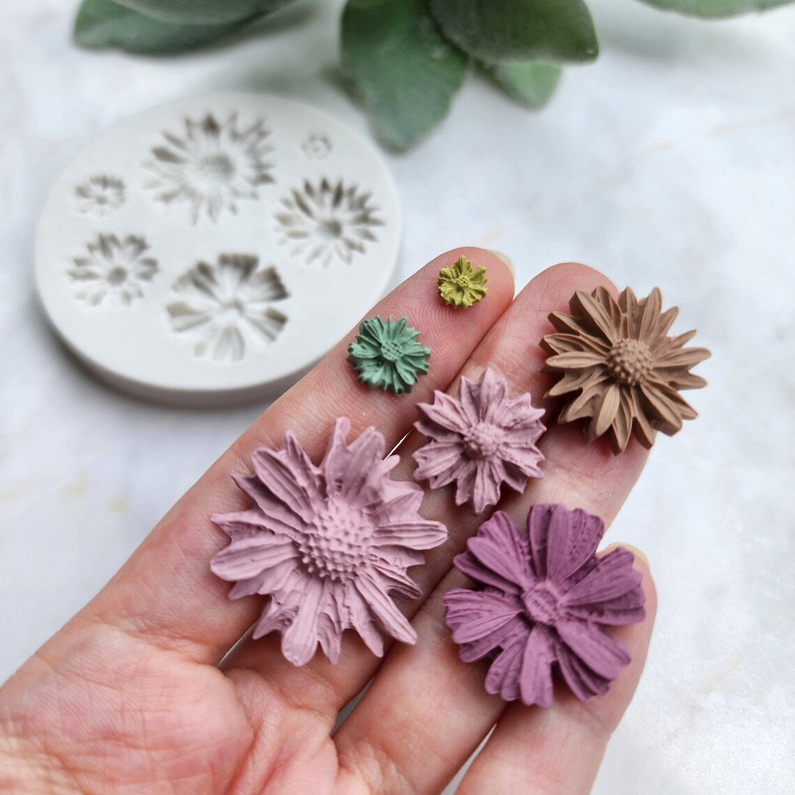6 Cavity Daisy CD003