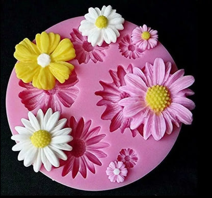 6 Cavity Daisy CD003